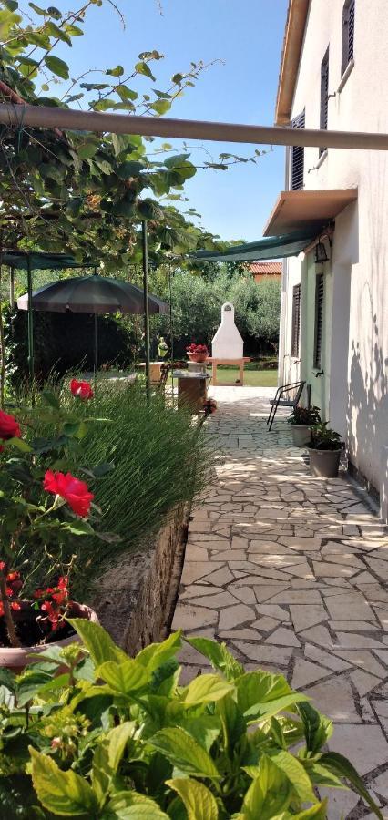 Apartment Greta Labin (Istria)